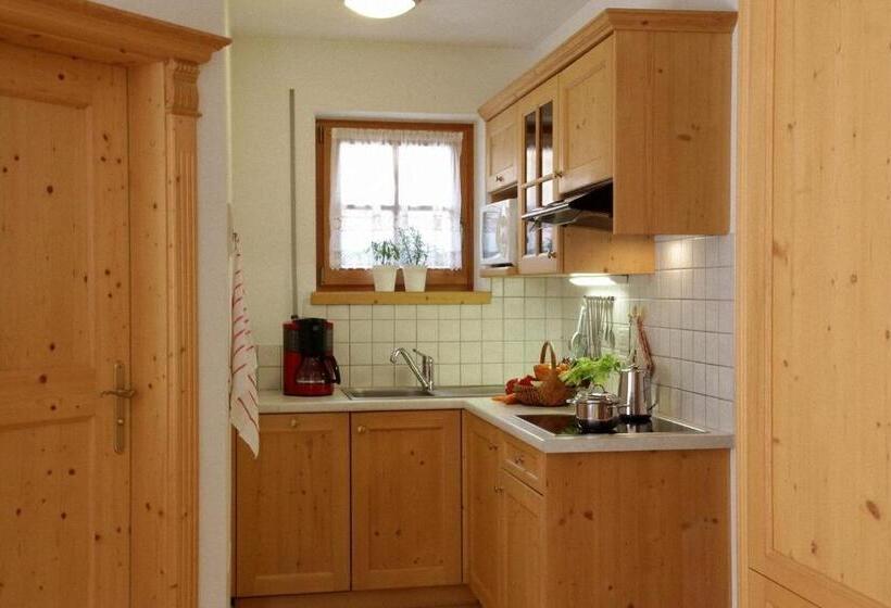Апартаменты 1 Спальня, Dolomites Apartments Ciasa Vally