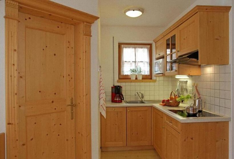 Апартаменты 1 Спальня, Dolomites Apartments Ciasa Vally