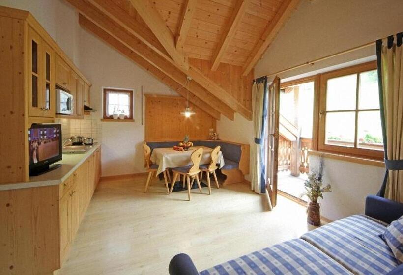 Семейные Апартаменты, Dolomites Apartments Ciasa Vally