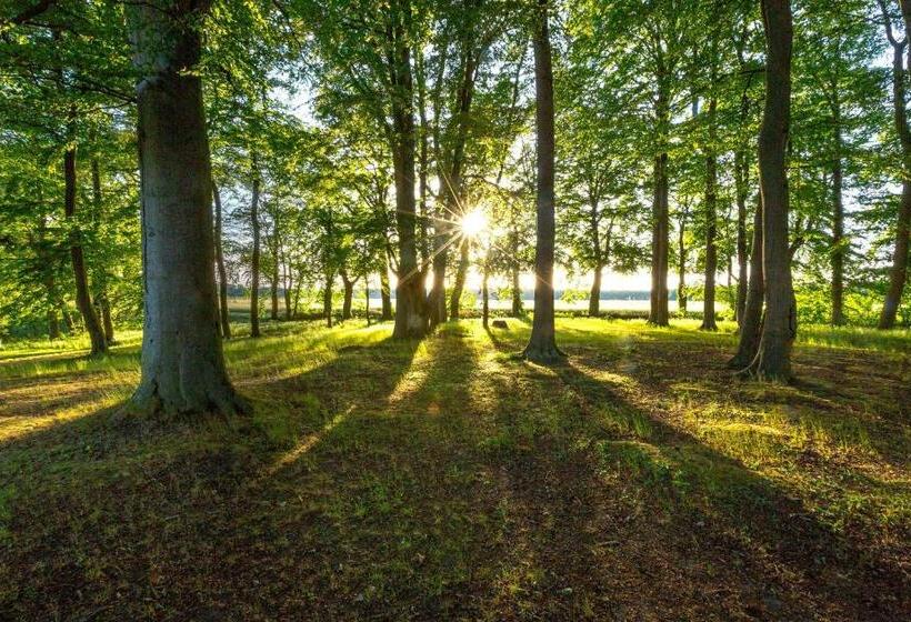 Номер Superior, Matys Landhausperle An Der Müritz