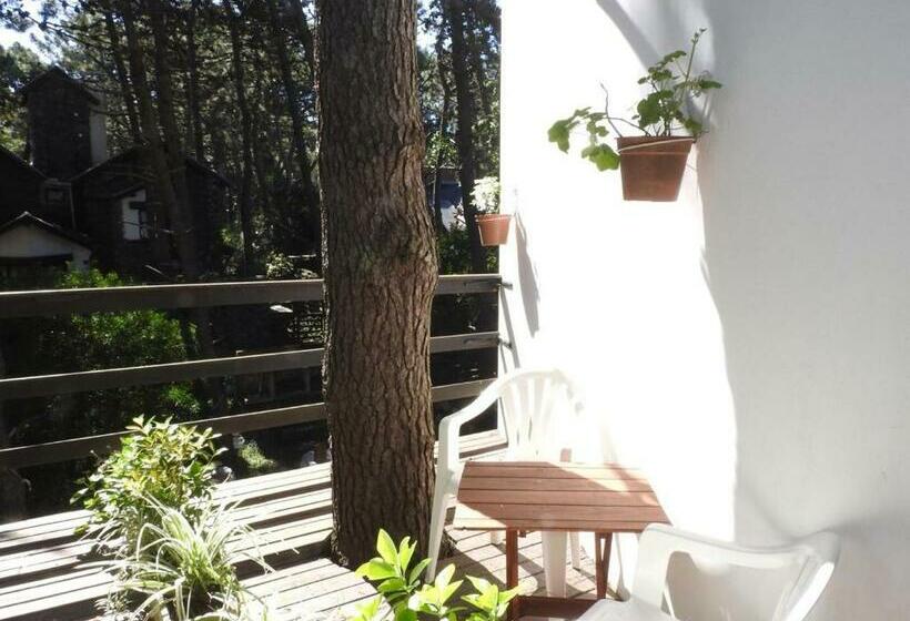 اتاق استاندارد, Las Piedras