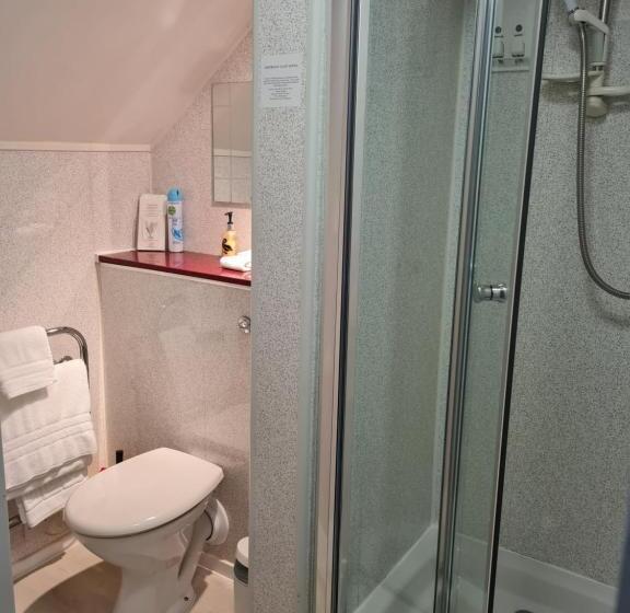 Номер Стандарт Индивидуальный, Brookside Guest House & Mini Spa