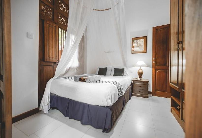 اتاق استاندارد یک نفره, The Studio