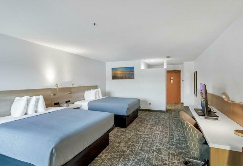 Номер Стандарт 2 Двуспальные Кровати, Waterbird Lakeside Inn
