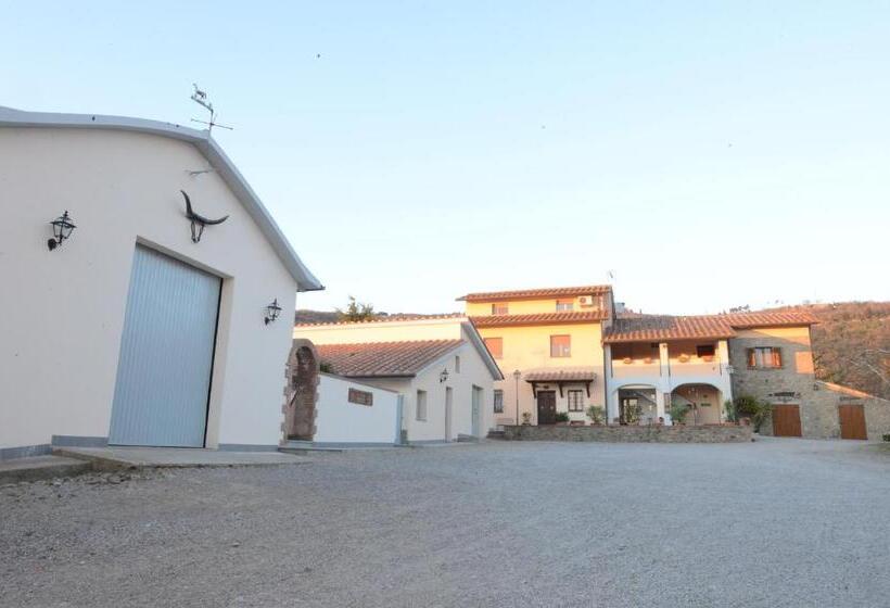 4인용 스탠다드 룸, Agriturismo Fattoria Podere Peciano