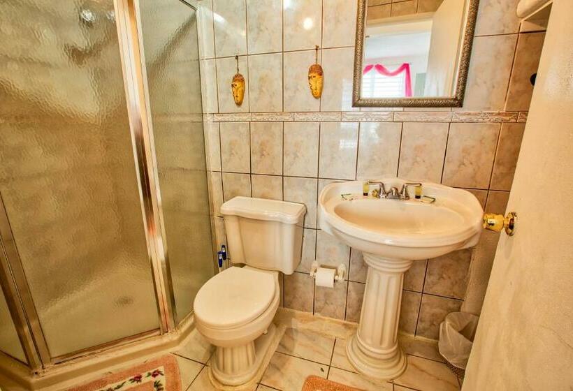 اتاق استاندارد با چشم‌انداز دریا, Coconut Palms Inn
