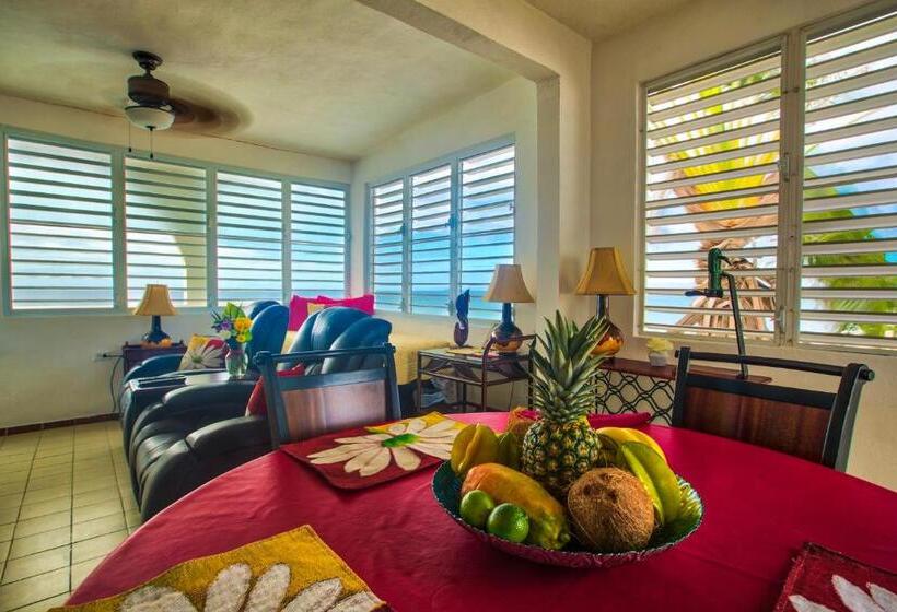 آپارتمان 1 خوابه با تراس, Coconut Palms Inn