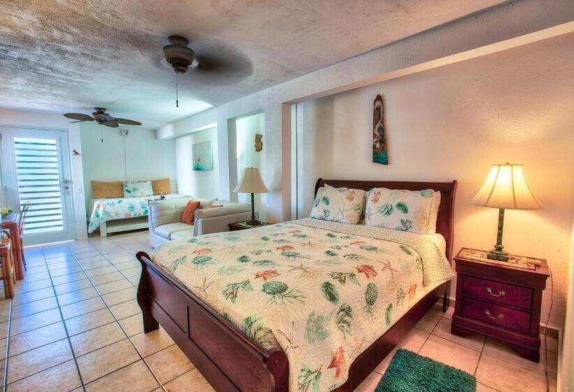 استودیوی استاندارد, Coconut Palms Inn