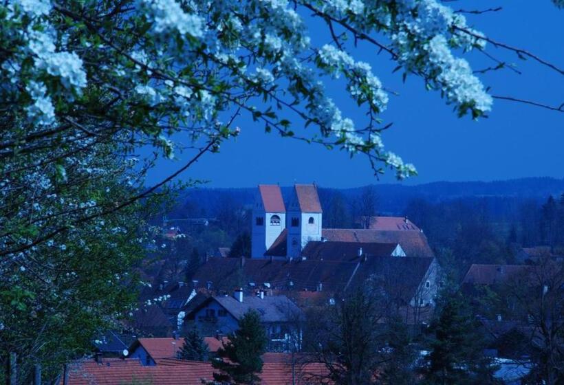 Номер Стандарт Индивидуальный Совместная Ванная, Gasthof Graf