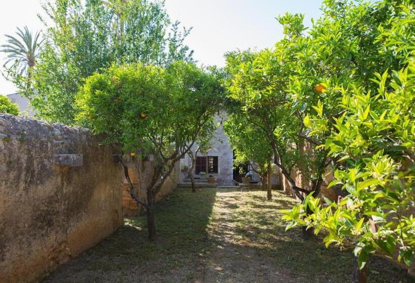 Апартаменты 1 Спальня, Agroturismo Es Pla De Llodrá
