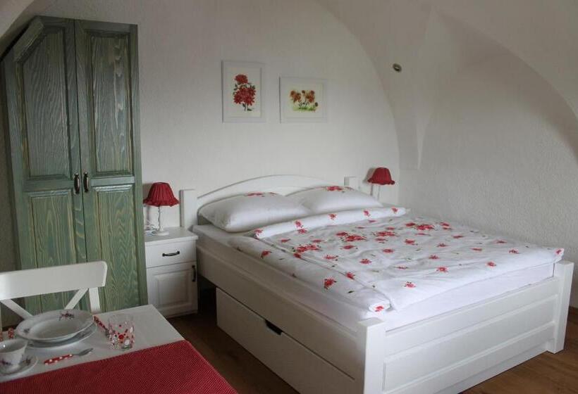 استودیو استاندارد با بالکن, Apartments Skok