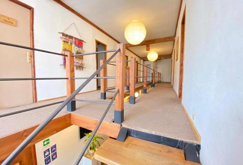스탠다드 룸, Pucontours Hostal   Hostel