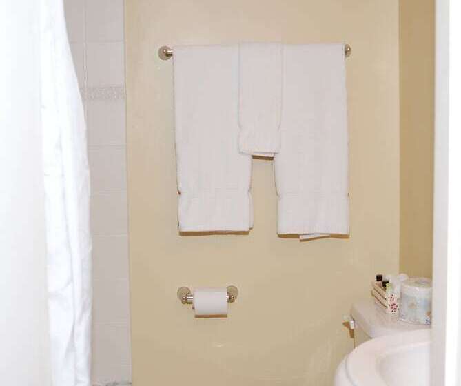 标准单人间, Shining Waters Country Inn