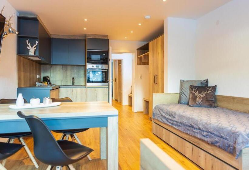 Апартаменты 1 Спальня, Apartments Mooshof