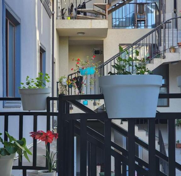 استودیوی استاندارد, Apartments On Vaja Pshavela