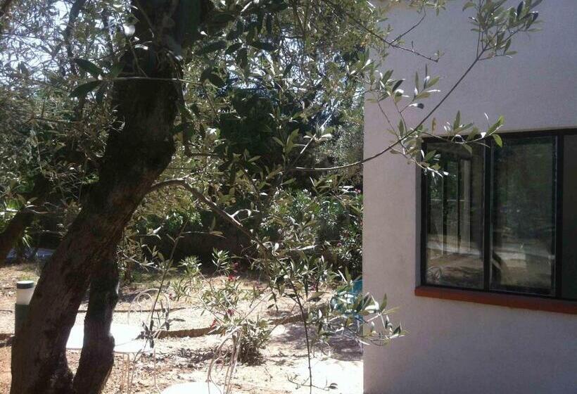 اتاق استاندارد با چشم‌انداز استخر, Du Coté De Chez Soi