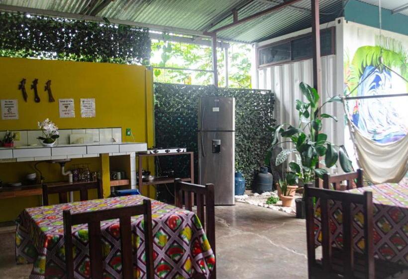 标准间, The Jungle Container