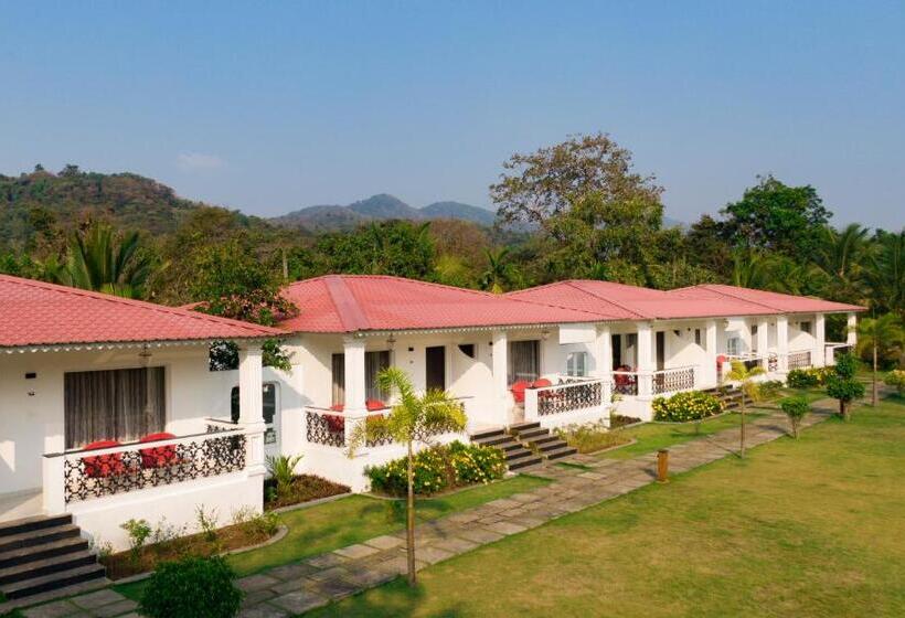Номер Deluxe с Балконом, Wild Berry Resort Agonda