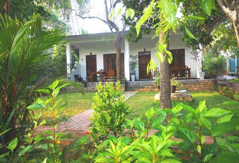 Номер Deluxe, The Cattleya Guest House Sigiriya