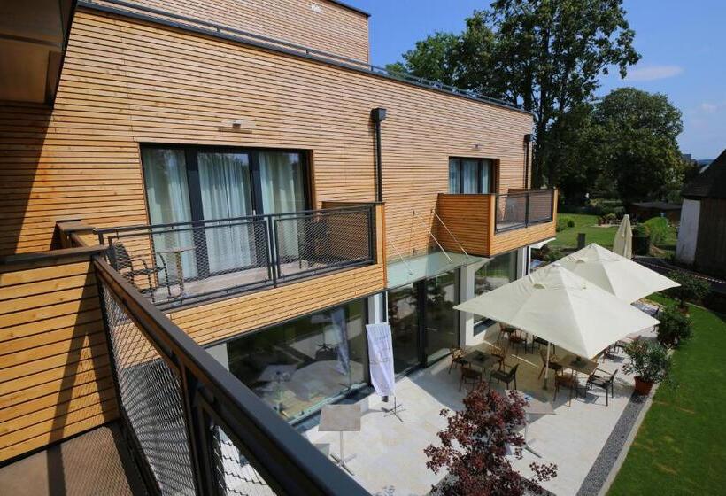 Номер Стандарт Вид на Сад, Donau Lodge