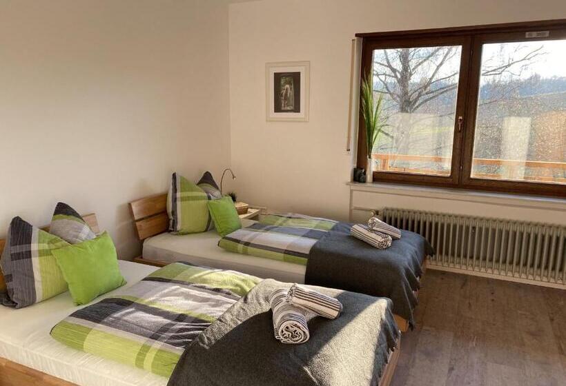 스탠다드 룸, Pension Am Hohberghof Dielheim