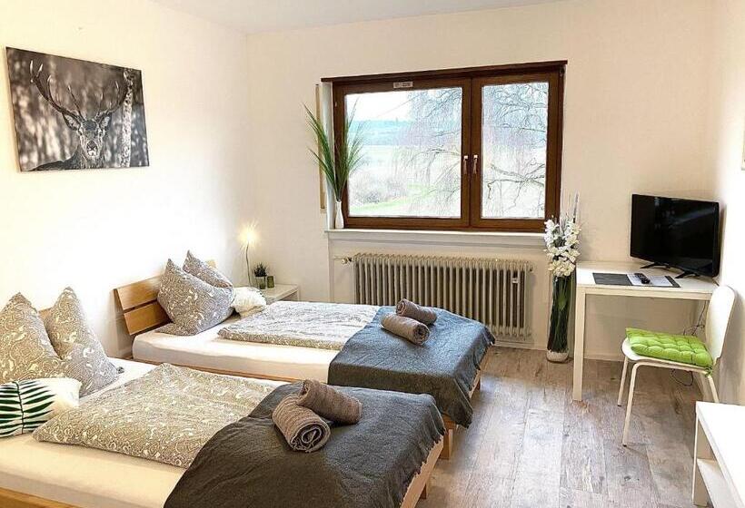스탠다드 룸, Pension Am Hohberghof Dielheim