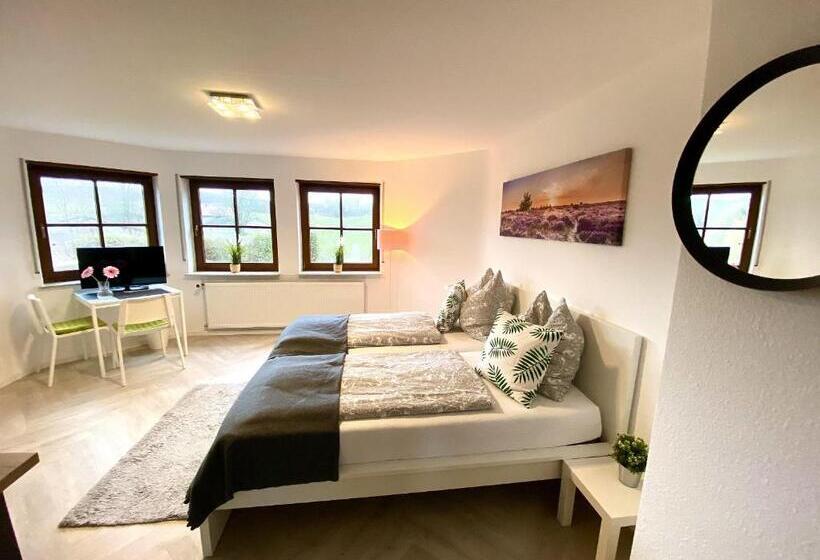스탠다드 스튜디오 정원 전망, Pension Am Hohberghof Dielheim