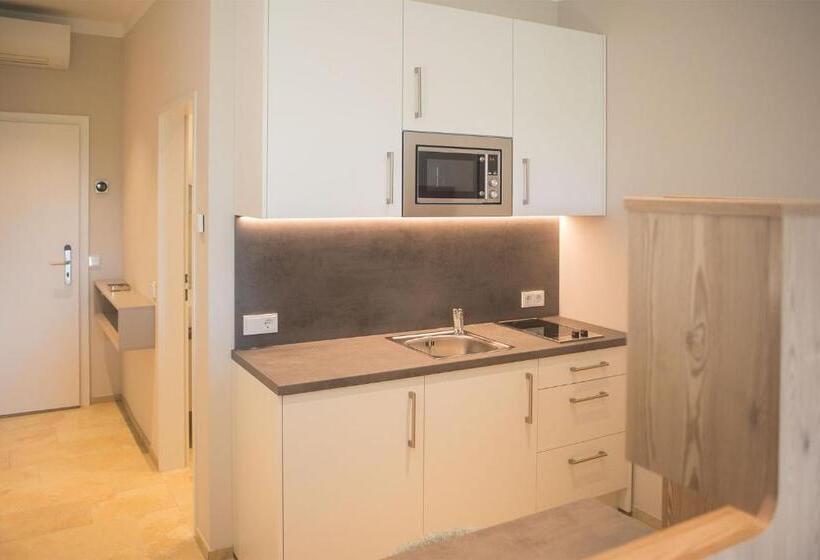 Номер Стандарт Адаптированный для Инвалидов, Tt Aparthotel Neuhofen