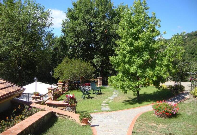 Номер Стандарт, La Sarticola