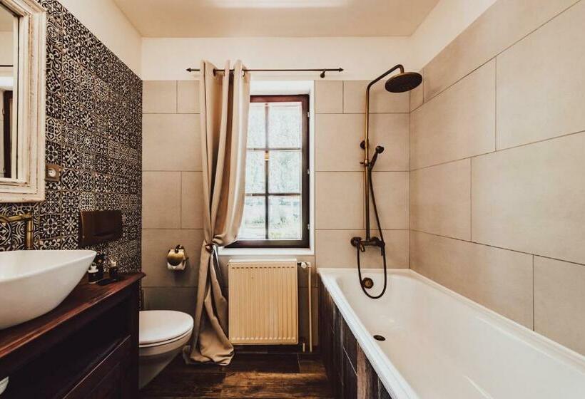 Трехместный Номер Deluxe, Resort Mlýn černovice
