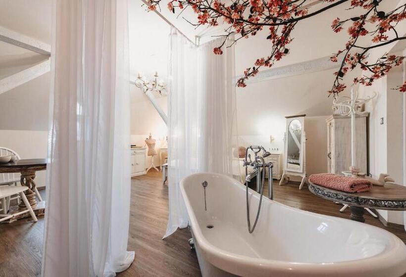 Люкс Повышенной Комфортности, Resort Mlýn černovice