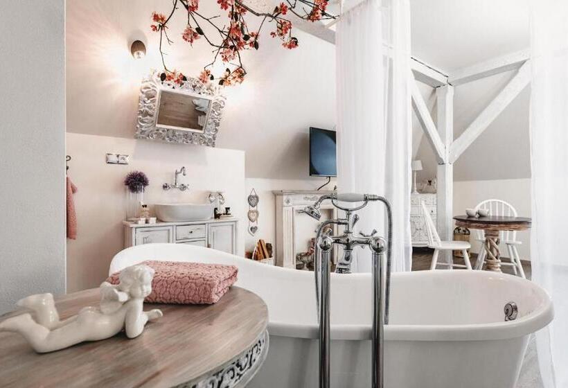디럭스 스위트, Resort Mlýn černovice