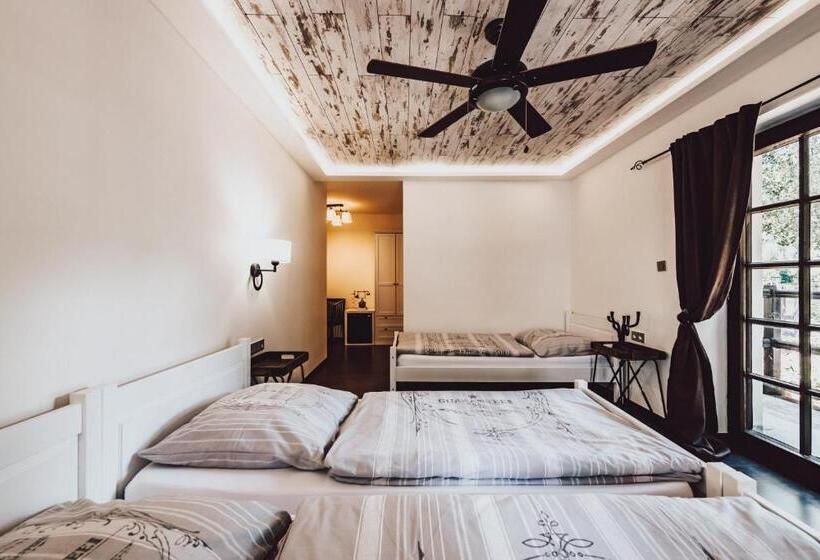 Трехместный Номер Deluxe, Resort Mlýn černovice