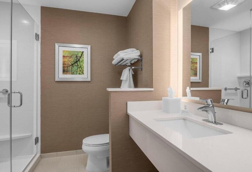 스탠다드 룸 킹사이즈 침대, Fairfield Inn & Suites By Marriott Memphis Marion, Ar