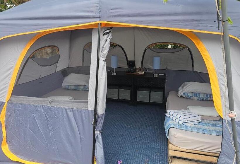 Standard Tent, Sweet Dreams