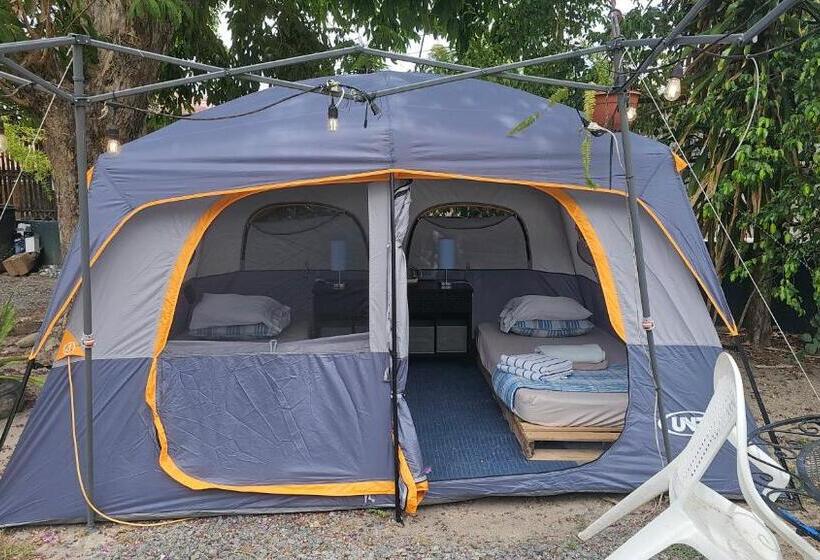 Standard Tent, Sweet Dreams