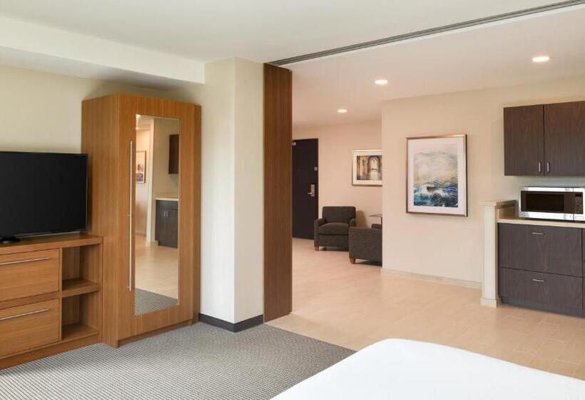带大床的套房, Hyatt Place Pasadena