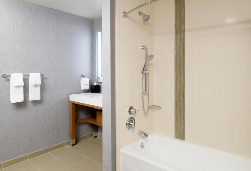 适合残疾人士使用的带超级大床的标准间, Hyatt Place Pasadena