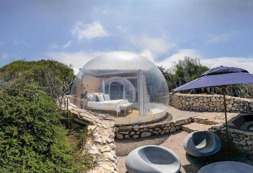 Premium Tent, Seeplaas Guesthouse