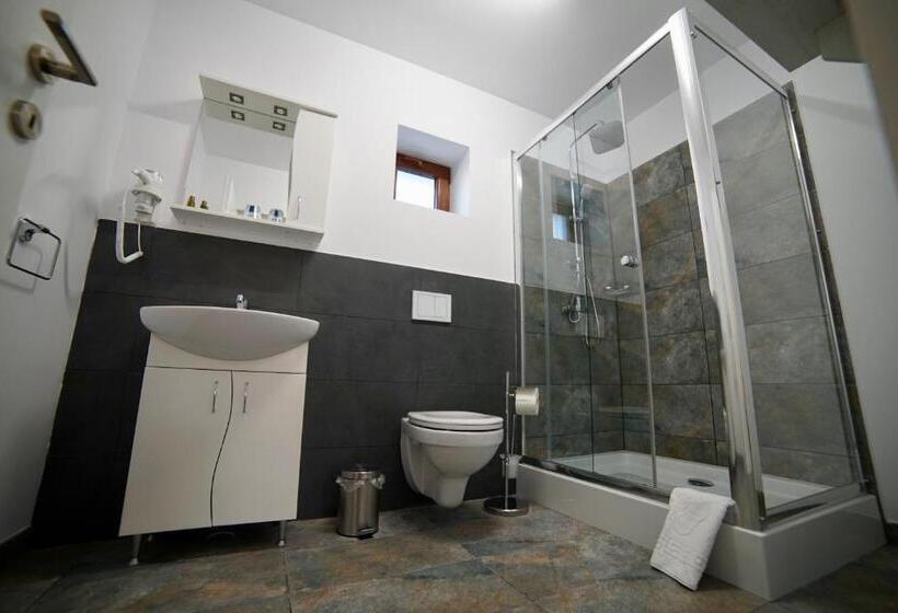 غرفة قياسية, Pensiunea Rustic