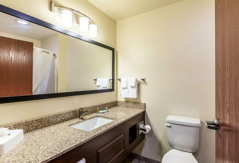 디럭스 스튜디오, Cobblestone Inn & Suites  Fairfield Bay
