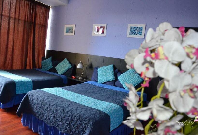 スーペリアの４人部屋, Hostal Alua Rio