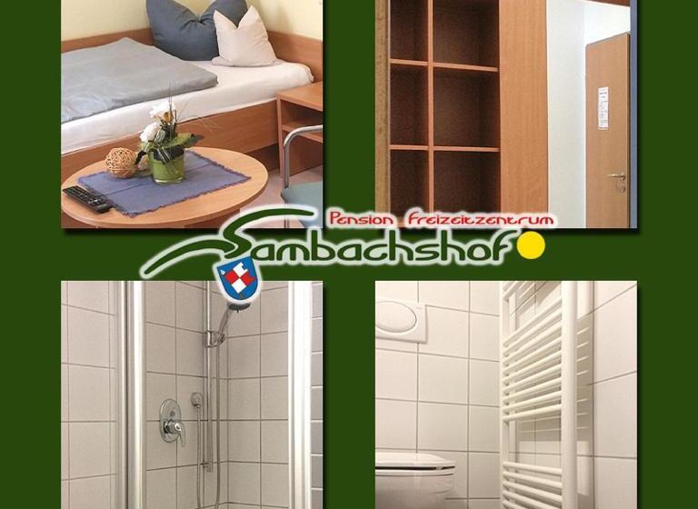 Номер Стандарт Индивидуальный, Pension Freizeitzentrum Sambachshof