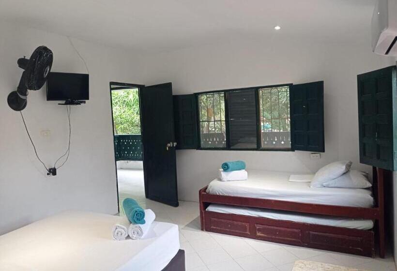 Четырехместный Номер Стандарт, Las Cabanas De Pino Hostel