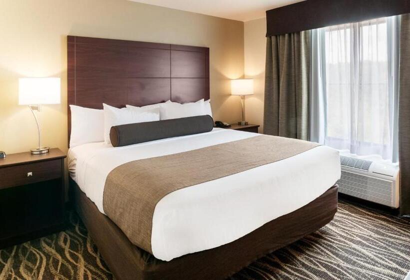 스탠다드 스튜디오, Cobblestone Hotel & Suites Appleton International Airport
