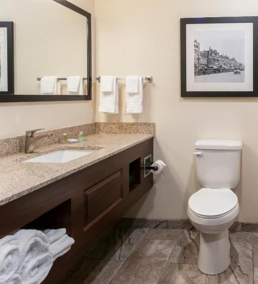 장애인을 위한 스탠다드 룸, Cobblestone Hotel & Suites Appleton International Airport