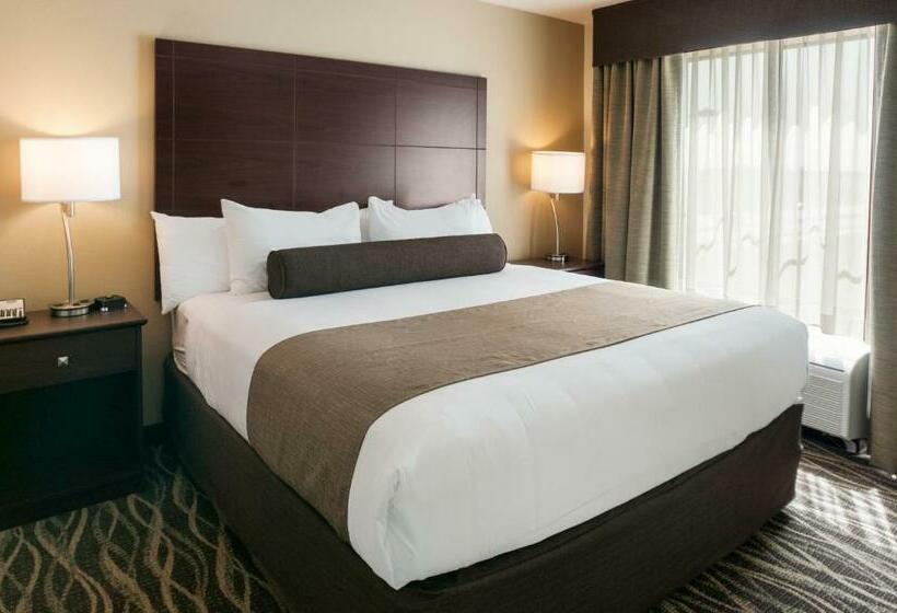 디럭스 스위트, Cobblestone Hotel & Suites Appleton International Airport