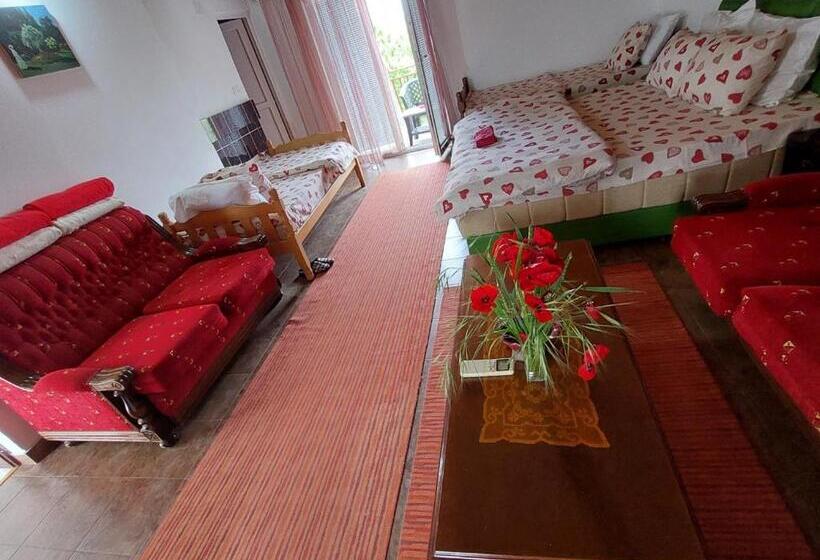 اتاق استاندارد چهار تخته, Airport Home Radinovic