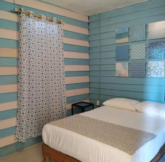 اتاق اکونومی, Riad Lola