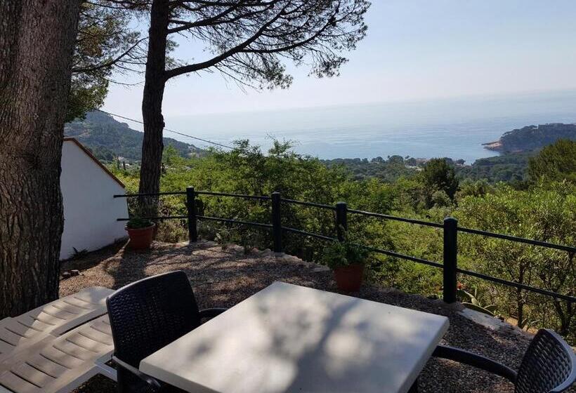 Номер Superior, Hostal Sa Barraca   Adults Only